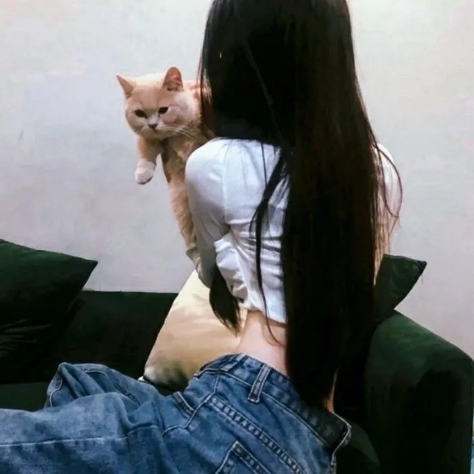恶狼年代